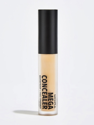 Mega Waterproof Concealer