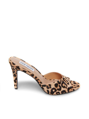 Erin Heel - Leopard