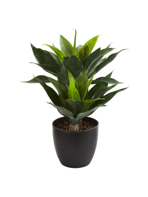 21" X 16" Artificial Agave Plant In Decorative Pot Black - Nearly Natural