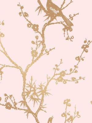 Bird Watching Self Adhesive Wallpaper In Rose Pink And Gold By Cynthia Rowley For Tempaper