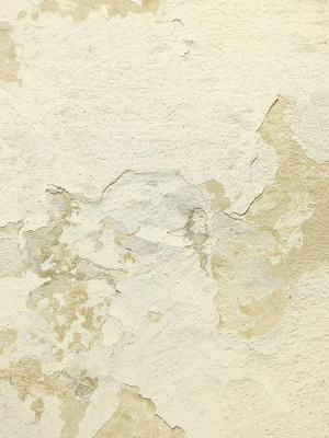 Cracked Plaster Wallpaper In Gold From The Precious Elements Collection By Burke Decor