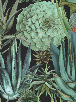 Succulents Wallpaper In Anthracite And Green From The Rediscovered Paradise Collection By Mind The Gap