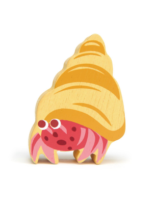 Hermit Crab