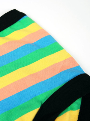 *thunderpants Original (high Rise), Pastel Rainbow Stripe