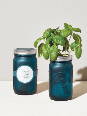 Basil Garden Jar