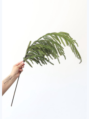 Natural Touch Norfolk Pine Branch - 38