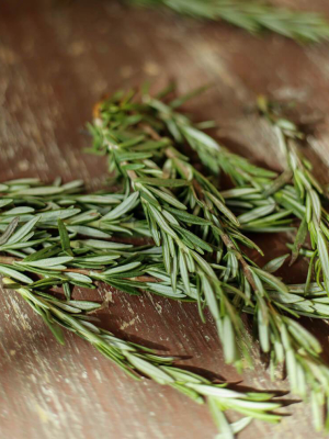 Vitruvi Rosemary