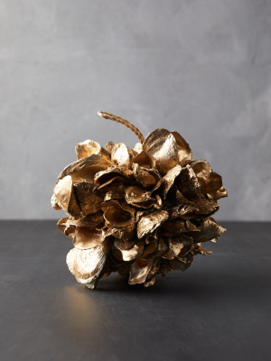 Preserved Oyster Shell Sphere