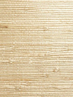 Martina Beige Grasscloth Wallpaper From The Jade Collection By Brewster Home Fashions