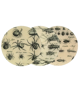 8" Round Black & White Insects On Sale