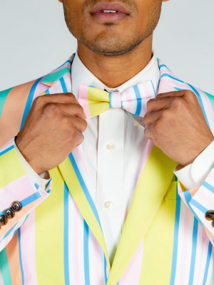 The Tommy Filtheger | Pastel Stripe Bow Tie