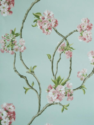 Orchard Blossom Wallpaper 02 By Nina Campbell For Osborne & Little