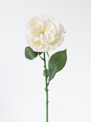 White English Cabbage Artificial Rose - 20.5"