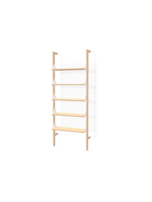 Branch-1 Shelving Unit