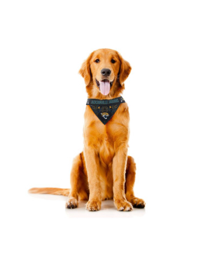 The Jacksonville Jaguars | Pet Bandana