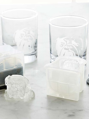 Bulldog Etched Glass & Ice Mold Set