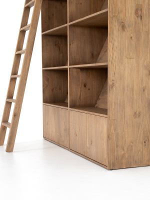 Bane Double Bookshelf & Ladder In Various Colors