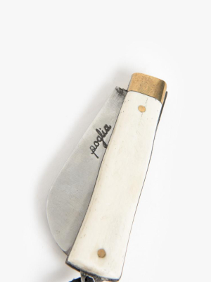 Hand Crafted Pocket Knife In Solid Bone