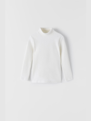 Ribbed Turtleneck