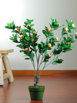 Northlight 31" Green And Orange Artificial Citrus Mitis Tree In A Black Pot