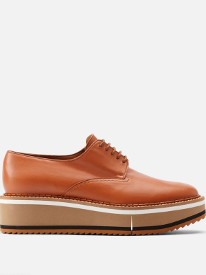 Brook Derbies, Camel