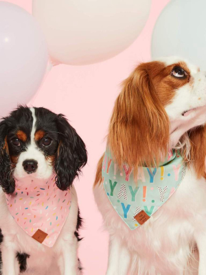 Birthday Yay Aqua Dog Bandana (reversible)