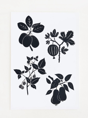 Botanical Silhouette Print