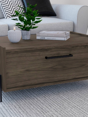 Page Storage Coffee Table Brown - Rst Brands