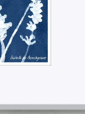 Cyanotype Flora I