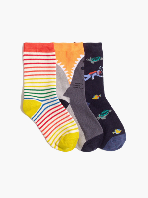 Boys' Shark Rainbow Trouser Socks Three-pack