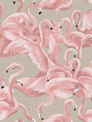 Flamingo Self-adhesive Wallpaper (single Roll) In Ballerina Pink By Tempaper