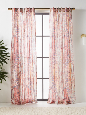 Asteria Curtain