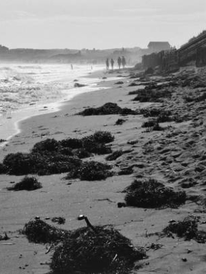 Summer Days, Mtk By John Andrulis