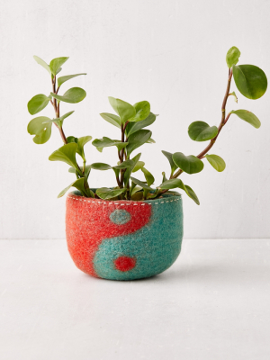 Felted Planter Cover