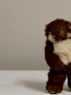 Roullet Et Decamps Dancing Bear Automaton