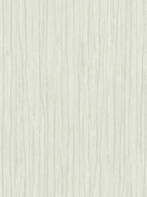 Temperate Veil Wallpaper In Light Grey By Antonina Vella For York Wallcoverings