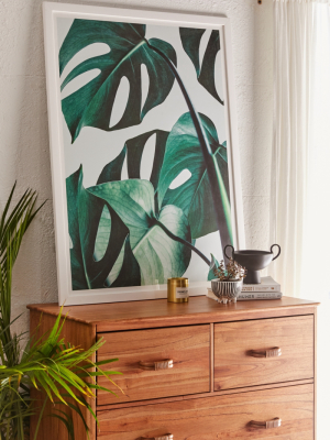 83 Oranges Monstera Art Print