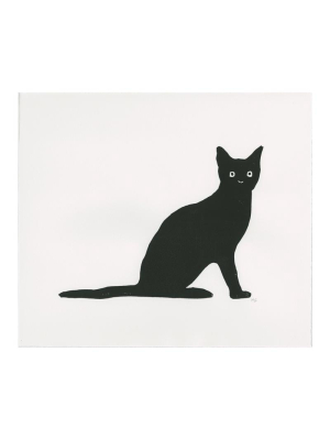 Black Cat With Flat Tail