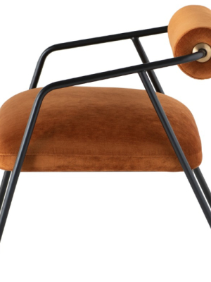 Cyrus Occasional Chair In Various Colors