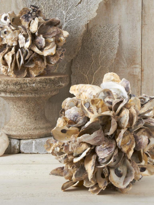 Oyster Shell Ball In Various Sizes