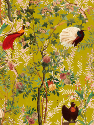 Royal Garden Wallpaper In Green From The Wallpaper Compendium Collection By Mind The Gap