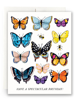 Butterfly Birthday Card