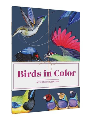 Birds In Color Notebook Collection