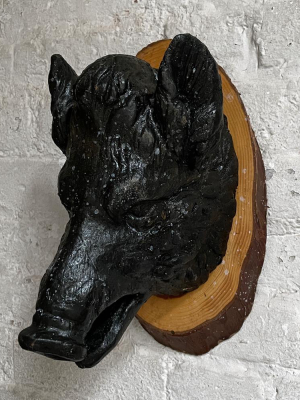 Antique Black Forest Carved Black Boar Head