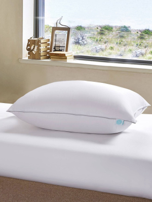 Standard 400 Thread Count Down Bed Pillow - Martha Stewart