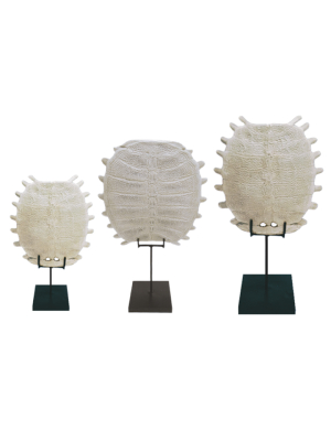 Oly Studio Tortuga Sculptures (set Of 3)