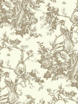 Exotic Plumes Wallpaper In Neutrals By Ashford House For York Wallcoverings