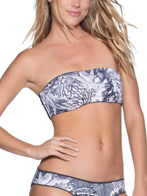 Maaji Moonless Night Bandeau Bikini Top 3055sba01