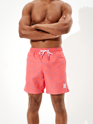 Ae 6" Swim Trunk