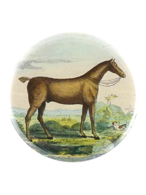 Brown Horse